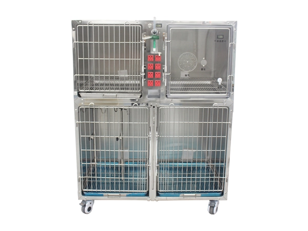 veterinary recovery cages